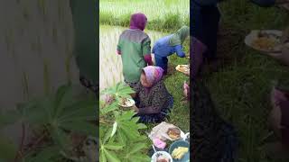 INDAHNYA KETIKA MAKAN BERSAMA DI SAWAH #mukbang #makan #sawah