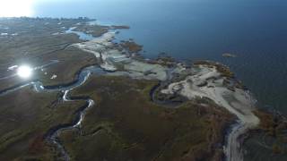 Living Shoreline on Money Island