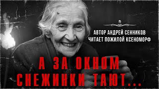 А ЗА ОКНОМ СНЕЖИНКИ ТАЮТ... Аудиокнига. Автор Андрей Сенников. Читает Пожилой Ксеноморф | АРХИВЫ ССК