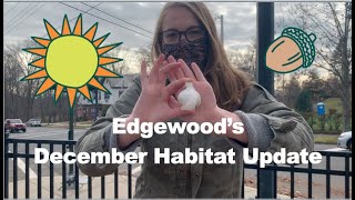 Edgewood December Habitat Update