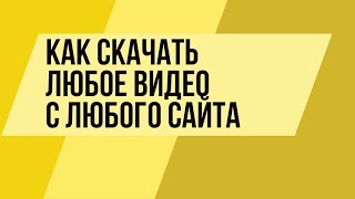 Как скачать видео с любого сайта? Есть ответ!