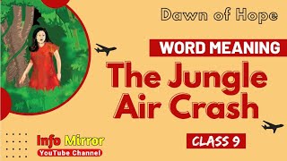 The Jungle Air Craft | Word Meaning | Class 9 | Info Mirror