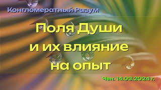 Софоос. чен от 14.03.24. Конгломератный Разум. Поля Души и их влияние на опыт.