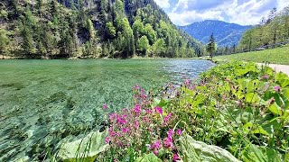 Förchensee - Gemeinde Ruhpolding, Bayern