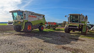 Let´s Drive CLAAS Lexion 420 | Im Spätherbst noch Weizen dreschen? | [VLOG]