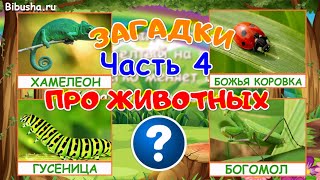 ЗАГАДКИ ПРО ЖИВОТНЫХ - Часть 4 | Загадки для детей