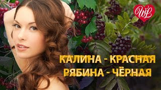 КАЛИНА КРАСНАЯ  РЯБИНА ЧЕРНАЯ ♥ МУЗЫКА ДУШИ WLV ♥ ДУШЕВНЫЙ ХИТ-ДУША ТАНЦУЕТ ♥ RUSSISCHE MUSIK