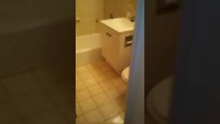 Vidpal Videos: #knowbeforeyougo 63 w 73rd st, new york, ny 10023, usa