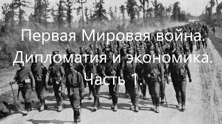 Первая Мировая война. Дипломатия и экономика воюющих стран в 1914-1915 годах.