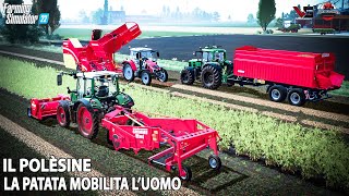 IL POLESINE LA PATATA MOBILITA L'UOMO - FS22 ALEXFARMER