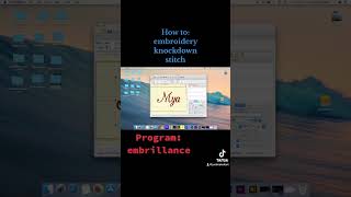 How to video: Knockdown stitch in embrillance
