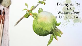 Pomegranate - Watercolour Painting