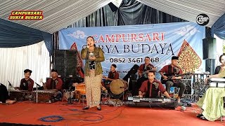 CAMPURSARI SURYA BUDAYA# SETYO TUHU# LIVE NGANTRU TULUNGAGUNG