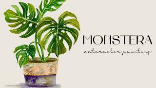 #34 | How to Draw potted MONSTERA | Watercolor Painting