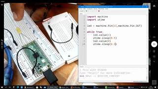 Raspberry Pi Pico : Laboratorio 01 Led
