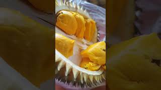 BUAH LAI KHAS KALIMANTAN KEMBARAN DURIAN BERBEDA AROMA DAN RASA #shorts