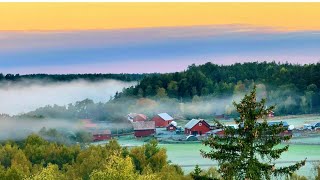 Foggy Morning Timelapse || sunrise || Farm View || Beauty of Nature