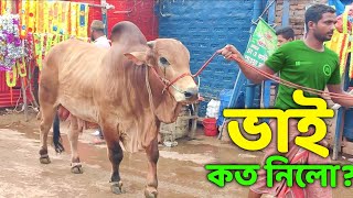 Bhai Koto Nilo? Gabtoli Gorur Haat 2023-Part 42 |Qurbani Cow Price in Bangladesh |Gabtoli Cow Market