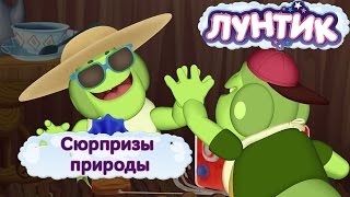 Лунтик и его друзья - Сюрпризы природы. Лето