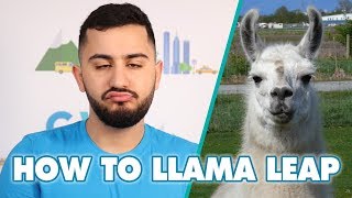 How To Llama Leap