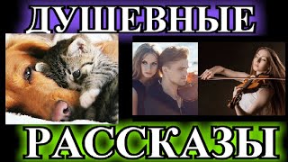 ДУШЕВНЫЕ РАССКАЗЫ\2❤️Я ИЩУ ЖЕНЩИНУ ПО ИМЕНИ АЛЕКСАНДРА❤️ТАК ХОТЕЛОСЬ СТАТЬ ОТЦОМ❤️@TEFI РАССКАЗЫ