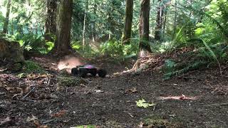 Arrma Kraton 6s ripping up the woods