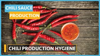 Chili Sauce Production (Lesson 9) - Chili Production Hygiene