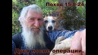 Поход 15 июля. Дуся после операции.