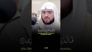 Surah Thaha || Djawad Ghassan #kutipan_alquranhadits #quran #murottal #video #shortvideo