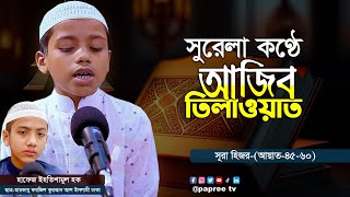 সুরেলা কণ্ঠে তিলাওয়াত || Best Quran Recitation ||  হাফেজ ইহতিশামুল হক || মারকাযু ফয়জিল কুরআন