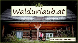 Ist die Melkstatt Hütte ihr Geld wirklich wert?   Waldurlaub.at I Urlaub I Dji Air 2S I Ferien I