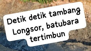 tambang Longsor batubara tertimbun CV SELAGAI JAYA ,pohon sawit tumbang