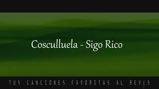 Cosculluela,   Sigo Rico, TUS CANCIONES FAVORITAS AL REVES