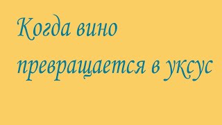 Превращение вина в уксус. Причины, признаки и способы исправления