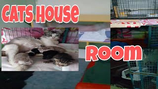 Cats House ll Room ( for our babies )