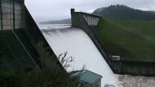 Water flowing over Dorena Dam 2019