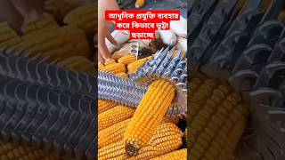 আধুনিক প্রযুক্তি ব্যবহার করে কিভাবে চায়নার লোকেরা ভুট্টা ছাড়াচ্ছে