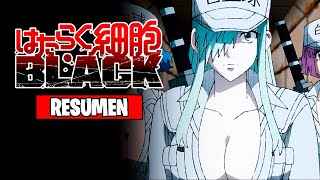 🌟Cells At Work! Code Black [Resumen] | Hataraku Saibou B L A C K