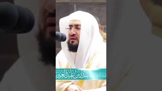 ويوم نحشرهم جميعاً || بندر بليلة