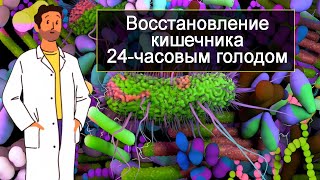 Восстановление кишечника 24 часовым голодом