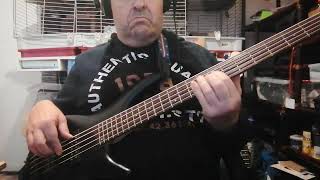 Gloria Estefan - Don't Wanna Lose You (Didier Cover Bass)