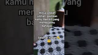 Pada ngumpul semua pasukan#shorts