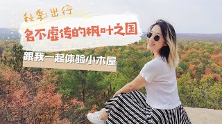 秋季出遊VLOG｜名不虛傳的楓葉國？帶你來玩Algonquin Park阿崗昆公園、體驗小木屋、划船燒烤走起來～