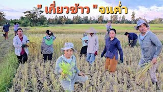 โพดโพ." เหมาเอาจนแล้ว กับทีมงานเกี่ยวข้าว.🌾🌾🌾22/10/2024