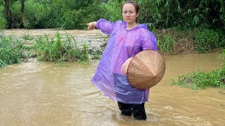 Heavy rainstorm on the farm, super typhoon Yagi has passed. go to the market to sell corn