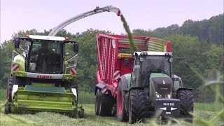 Grünroggen häckseln mit Claas Jaguar 950, John Deere,Fendt,Claas [HD]