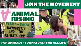 Why Animal Rising Makes Headlines!