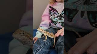 Girl talks about dragon #pets #reptiles #reptilelover #beardeddragon