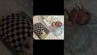 Who is Snoring？#shorts #pets #baby #like #youtubeshorts