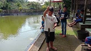 Ken Umar Mancing Ikan di Pemancingan Resto Gelang Gelang #mancing #mancingikan